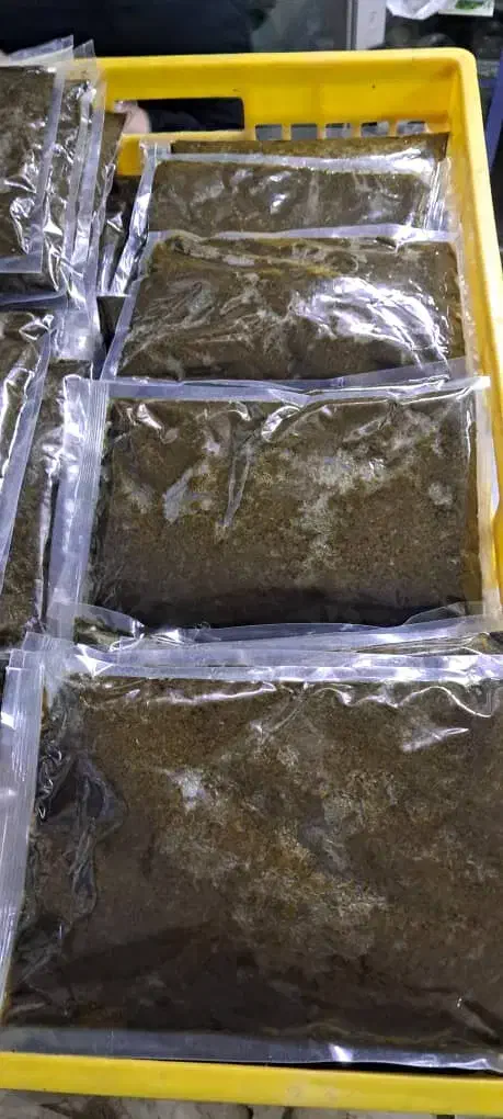 فروش عمده قورمه سبزی معطر گیلان پخش مستقیم|خوردنی و آشامیدنی|ری, شهرک نظامی|دیوار