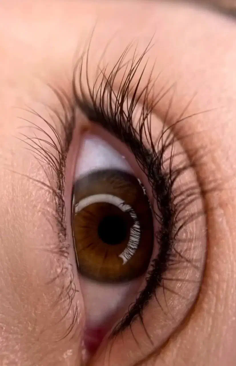 مدل فیبروز شیدینگ لب و شیدچشم توسط مستر مدت محدود|خدمات آرایشگری و زیبایی|تهران, تهرانپارس جنوبی|دیوار