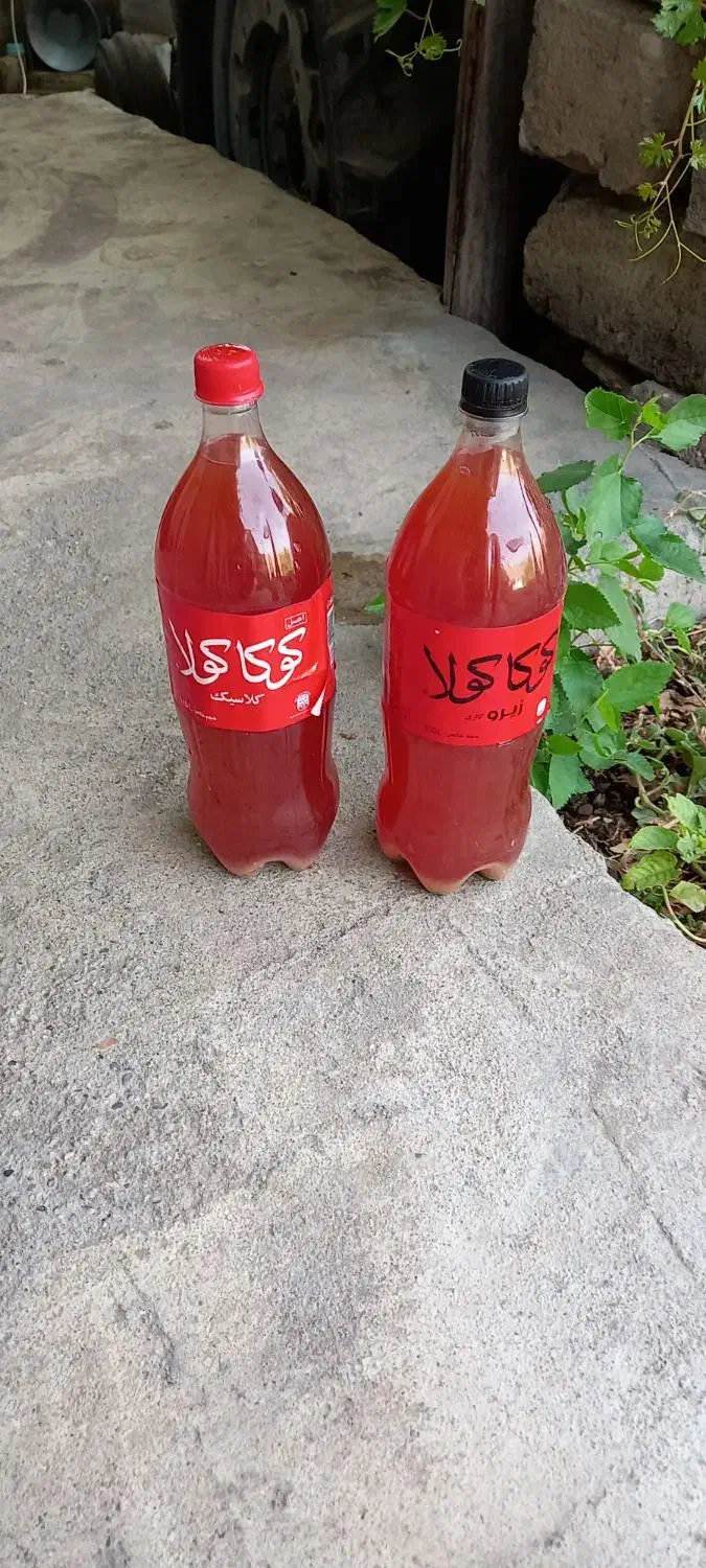 آبغوره ترش و خوشمزه تمیز ارگانیک موجوده|خوردنی و آشامیدنی|صحنه, |دیوار