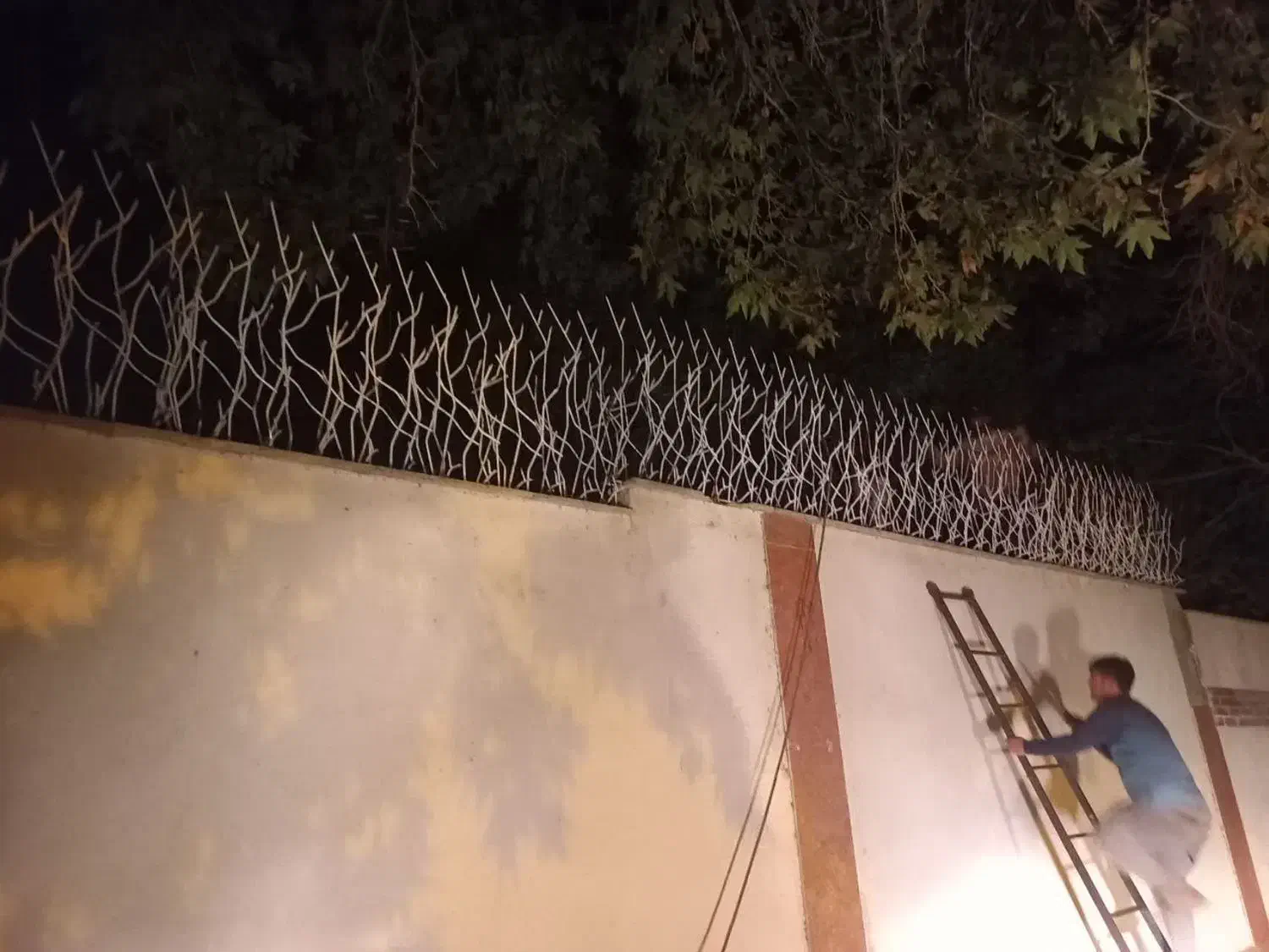 حفاظ شاخ گوزنی اکرمی|خدمات پیشه و مهارت|احمدآبادمستوفی, |دیوار