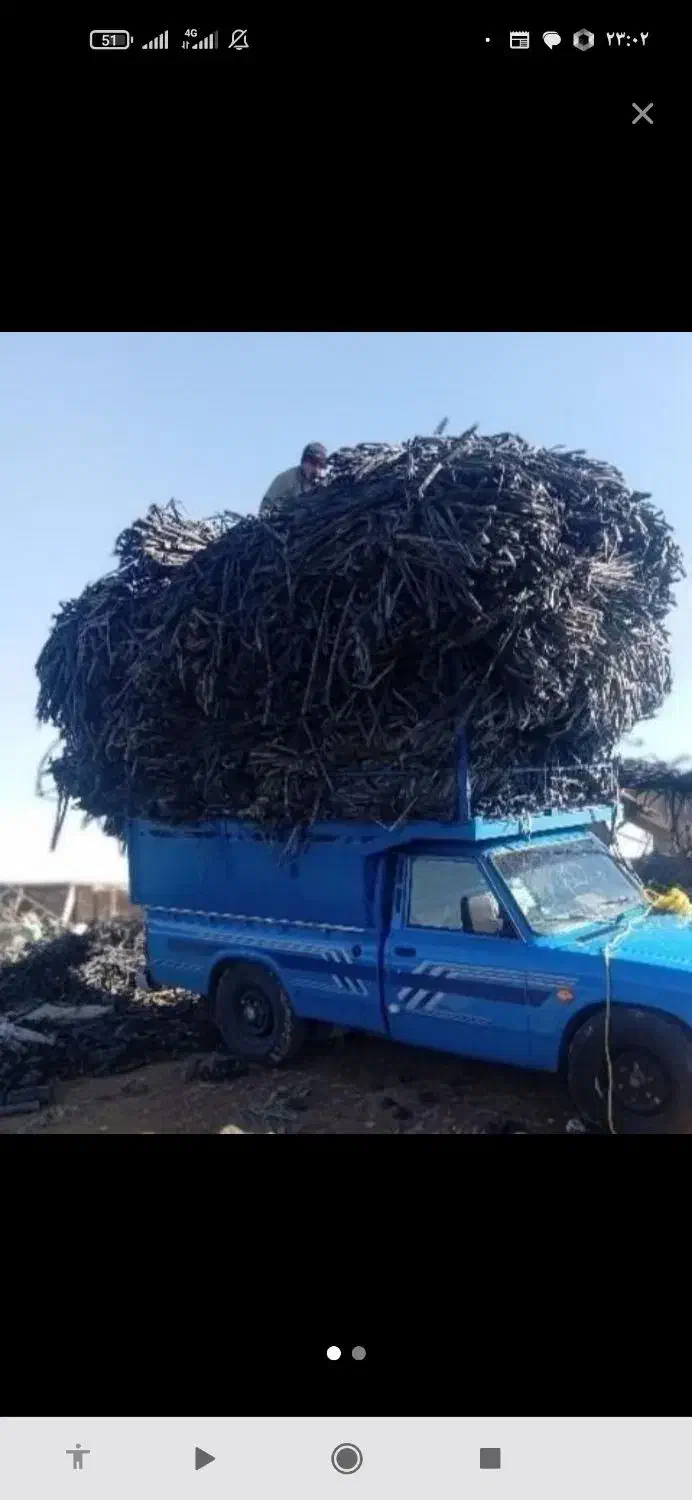 خریدار تیپ. شما. قیمت انبار سرزمین|خدمات باغبانی و درختکاری|نصر آباد, |دیوار