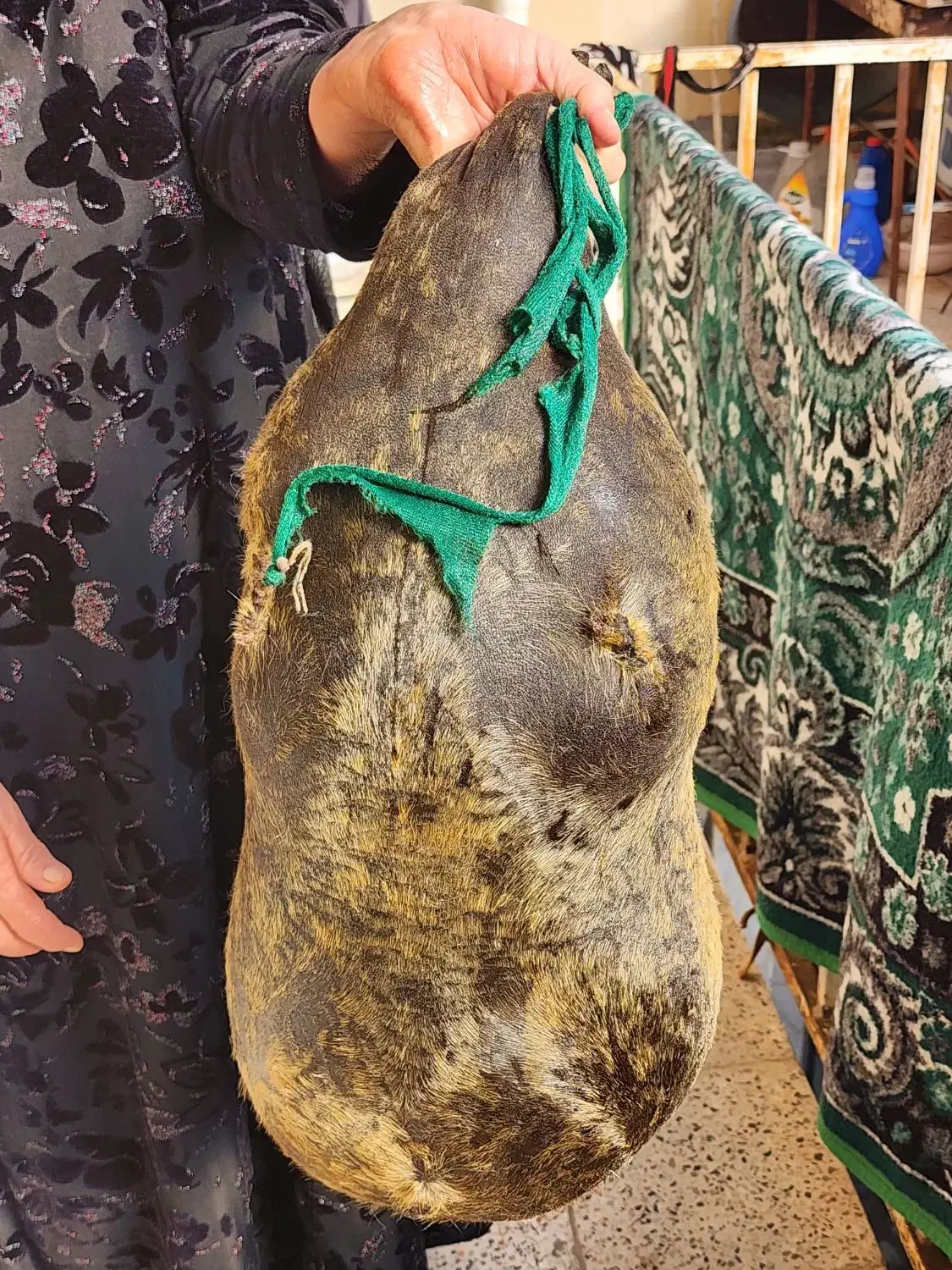 پوست هیزه|صنایع دستی و سایر لوازم تزئینی|نورآباد, |دیوار