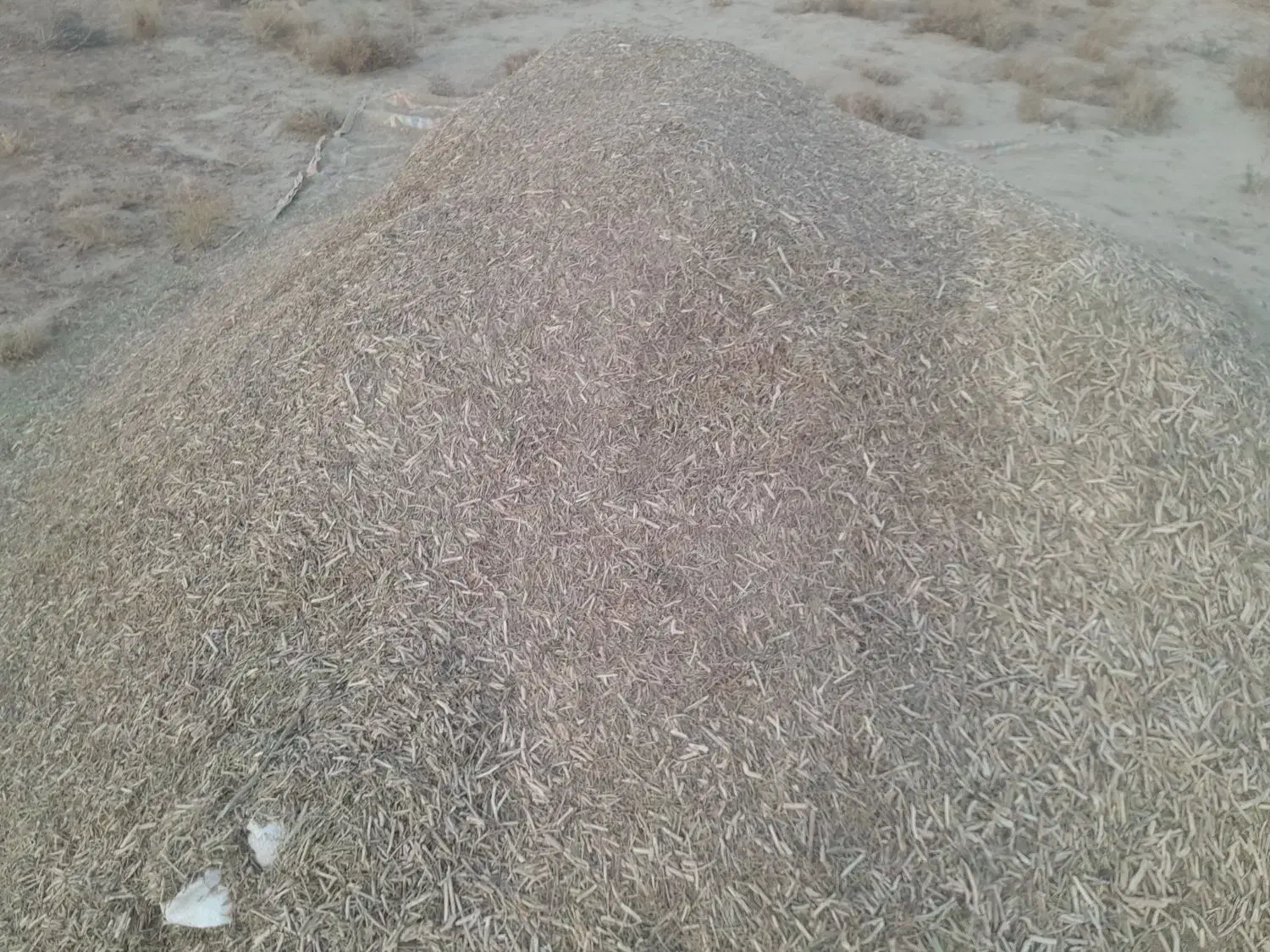 خار فروشی|لوازم جانبی حیوانات|تربت‌حیدریه, بازار|دیوار