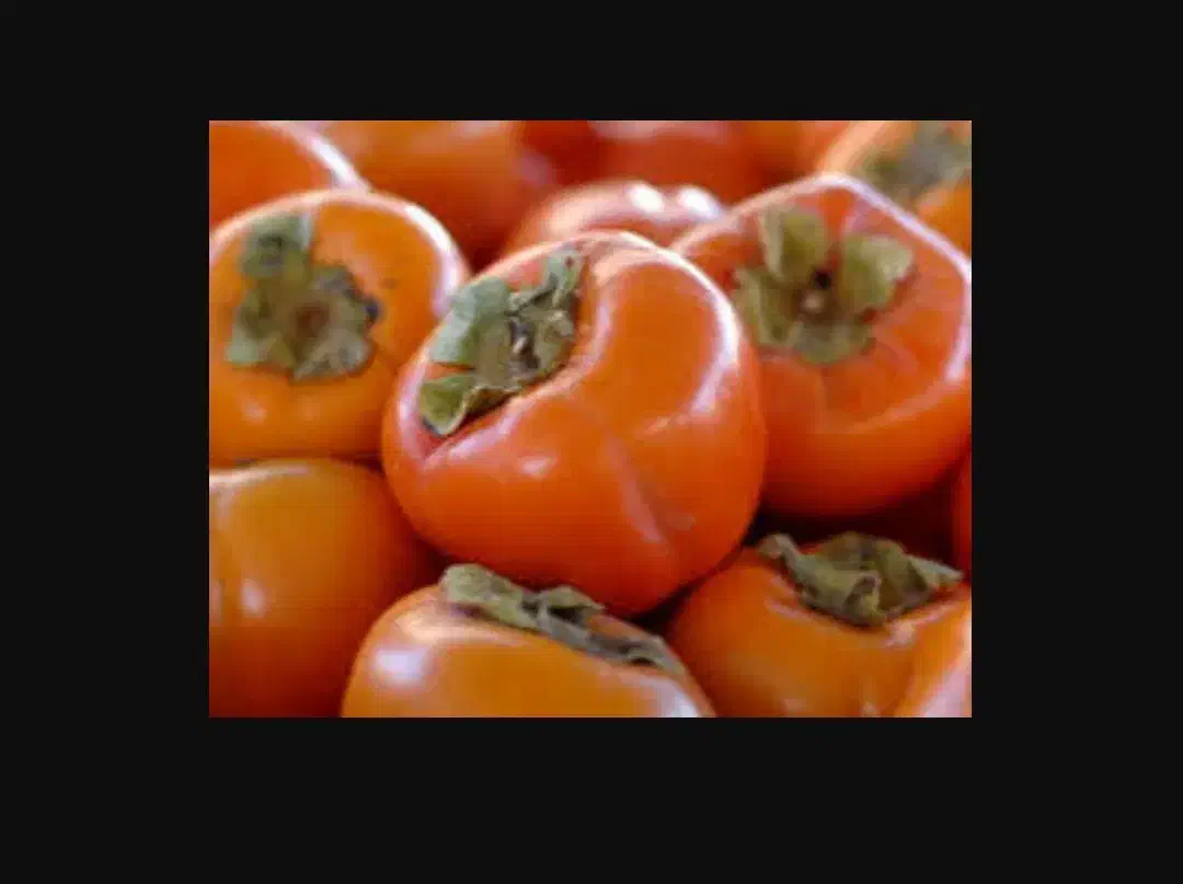 خرمالو محلی و شیرین|خوردنی و آشامیدنی|قائمشهر, |دیوار