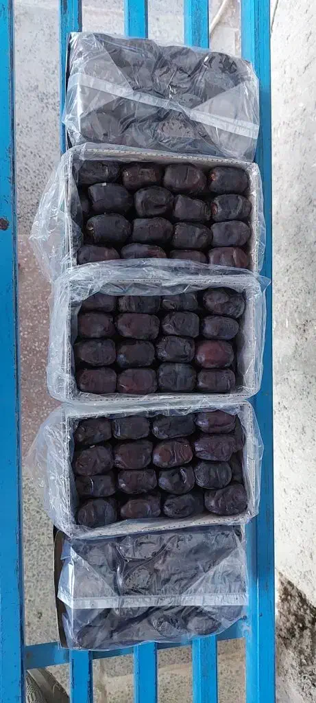 قیمت خرما مضافتی جیرفت عبرآباد|خوردنی و آشامیدنی|برخوار, |دیوار