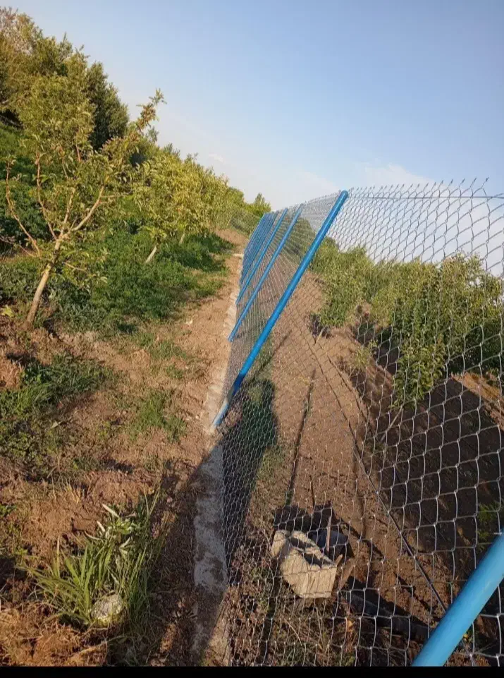 فنس کشی|خدمات پیشه و مهارت|نوشین شهر, |دیوار