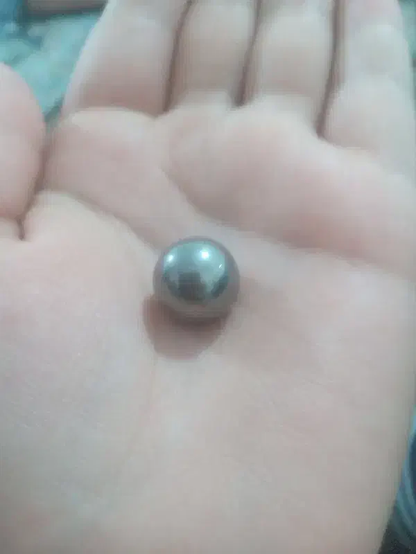 گوی گل یا پوچ|اسباب‌‌بازی|زنجان, |دیوار