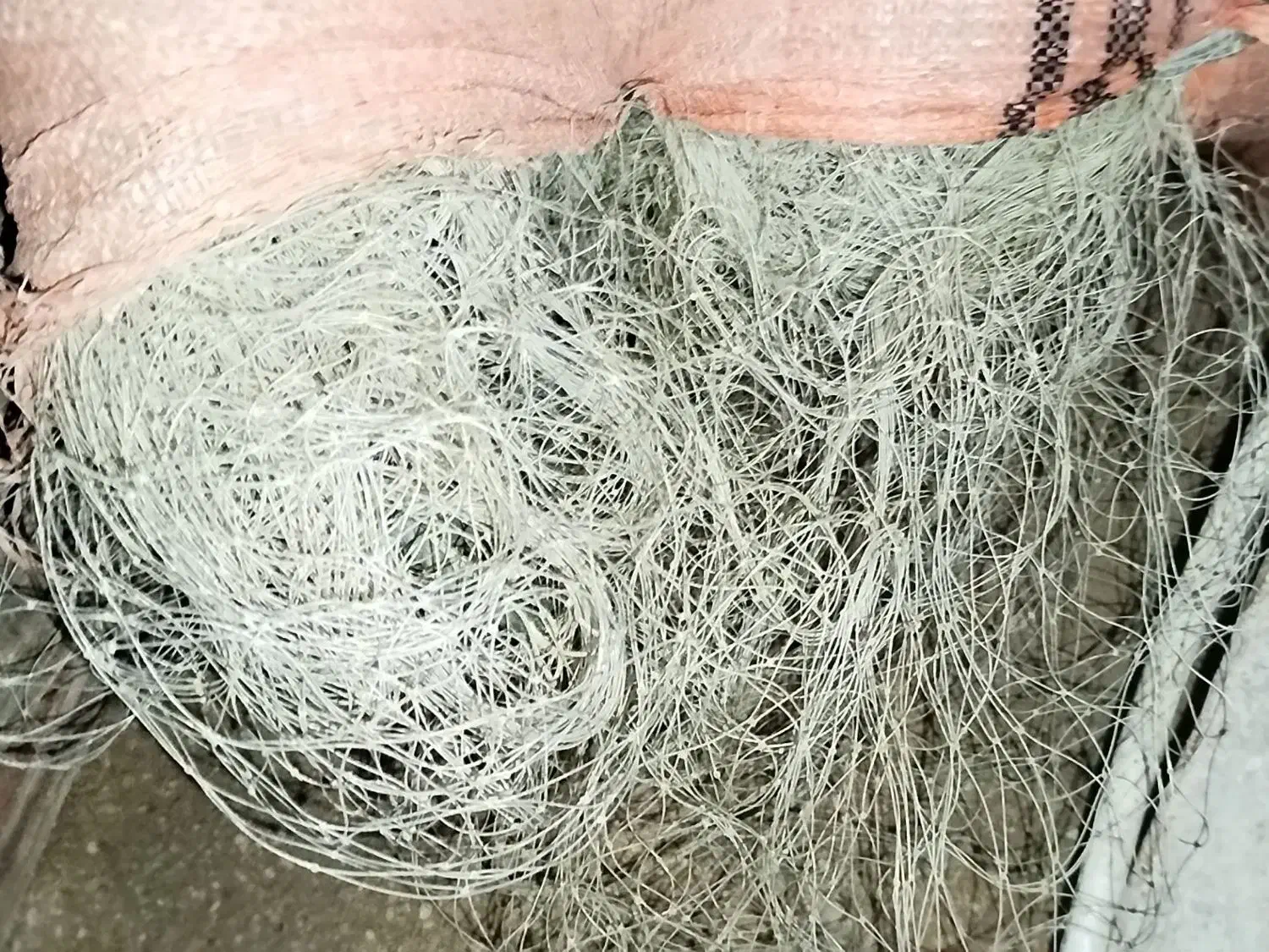 تور|ماهیگیری|بندر دیر, |دیوار