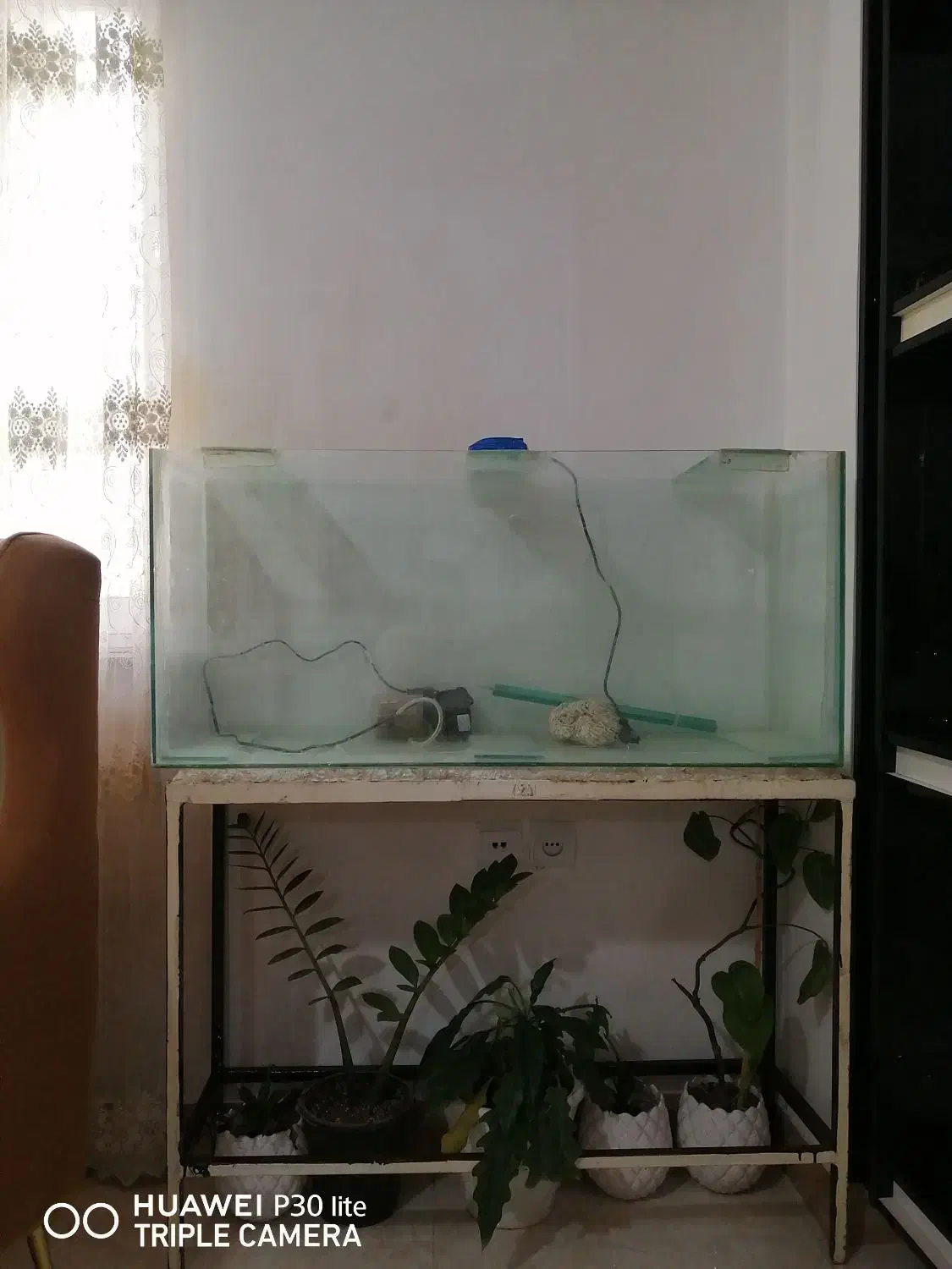 آکواریم با کلیه لوازم|ماهی|رشت, شهرک شهید مفتح|دیوار