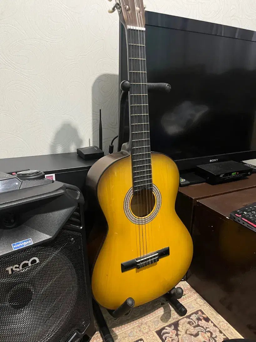 گیتار کلاسیک|گیتار، بیس، امپلیفایر|گرگان, |دیوار