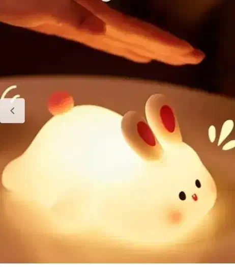 لامپ شب|چراغ خواب و آباژور|میاندوآب, |دیوار