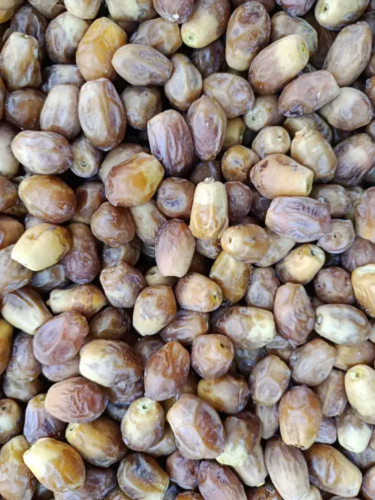 فروش خرمایی زاهدی (قصب)|خوردنی و آشامیدنی|شیراز, فضل‌آباد|دیوار