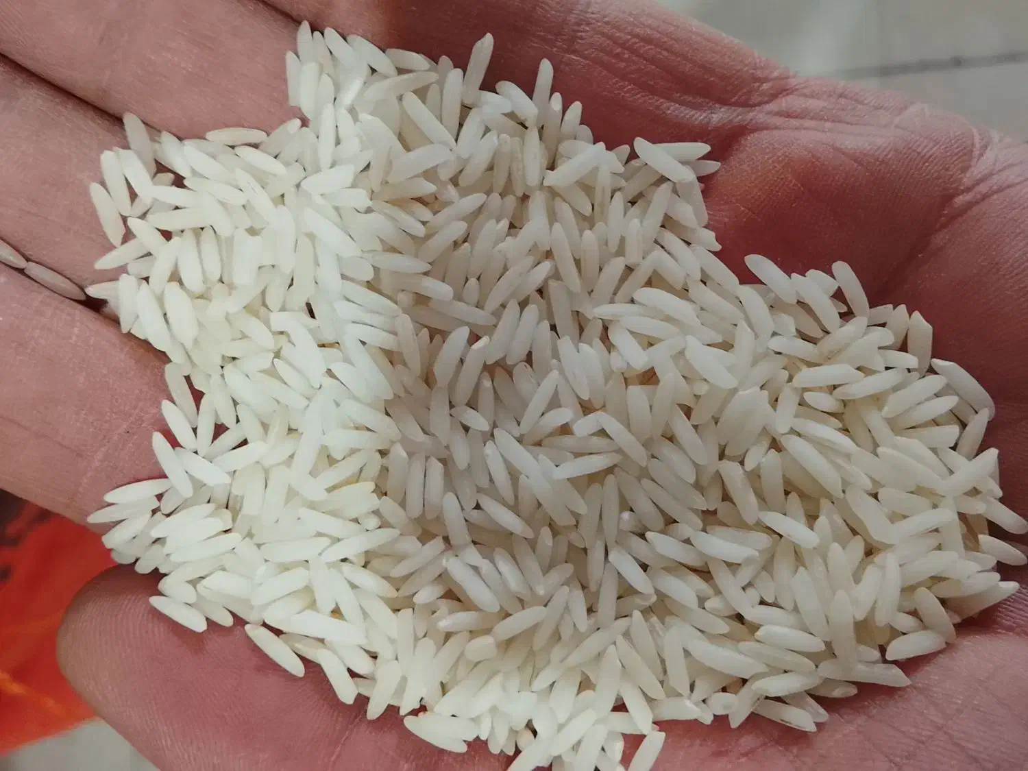 برنج فروشی|خوردنی و آشامیدنی|رضوانشهر, |دیوار