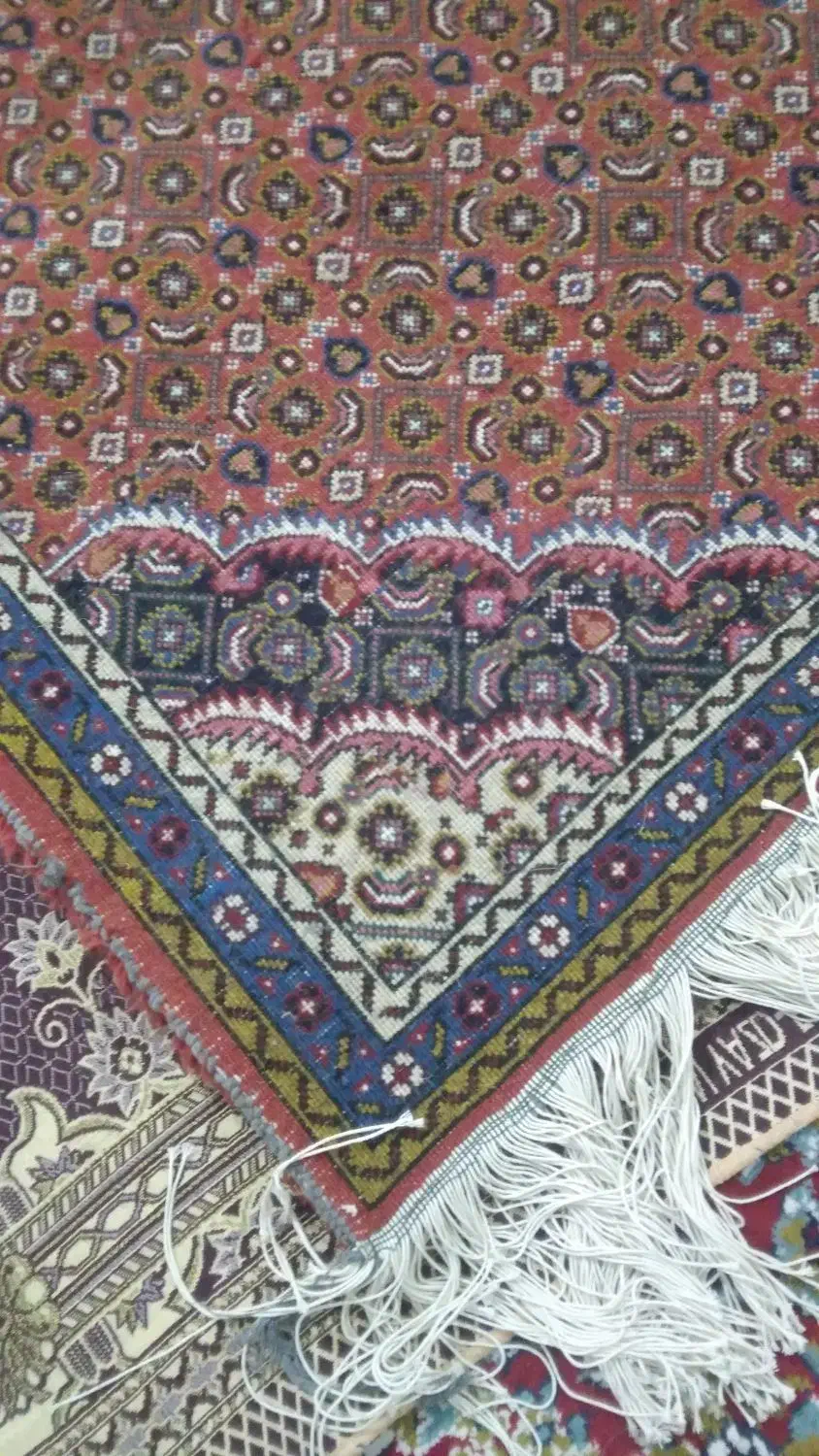 فرش دست بافت ریزه ماهی کناره|فرش|اردبیل, |دیوار