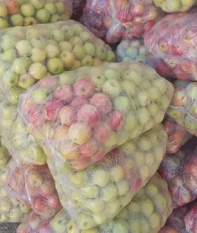 پخش سیب سمیرم|خوردنی و آشامیدنی|اصفهان, پوریای ولی|دیوار