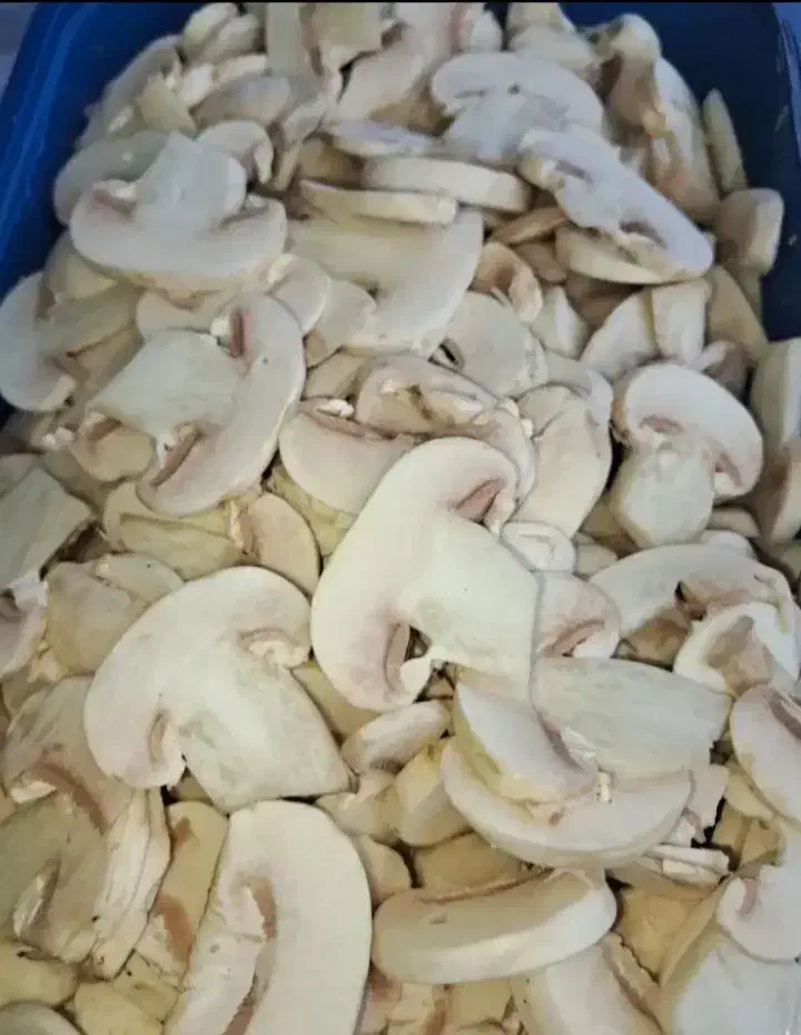 ویزیتور قارچ ماهر و حرفه ایی|استخدام بازاریابی و فروش|رباطکریم, رباطکریم|دیوار