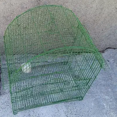 قفس عروس هلندی|لوازم جانبی حیوانات|پاکدشت, خاتون آباد|دیوار