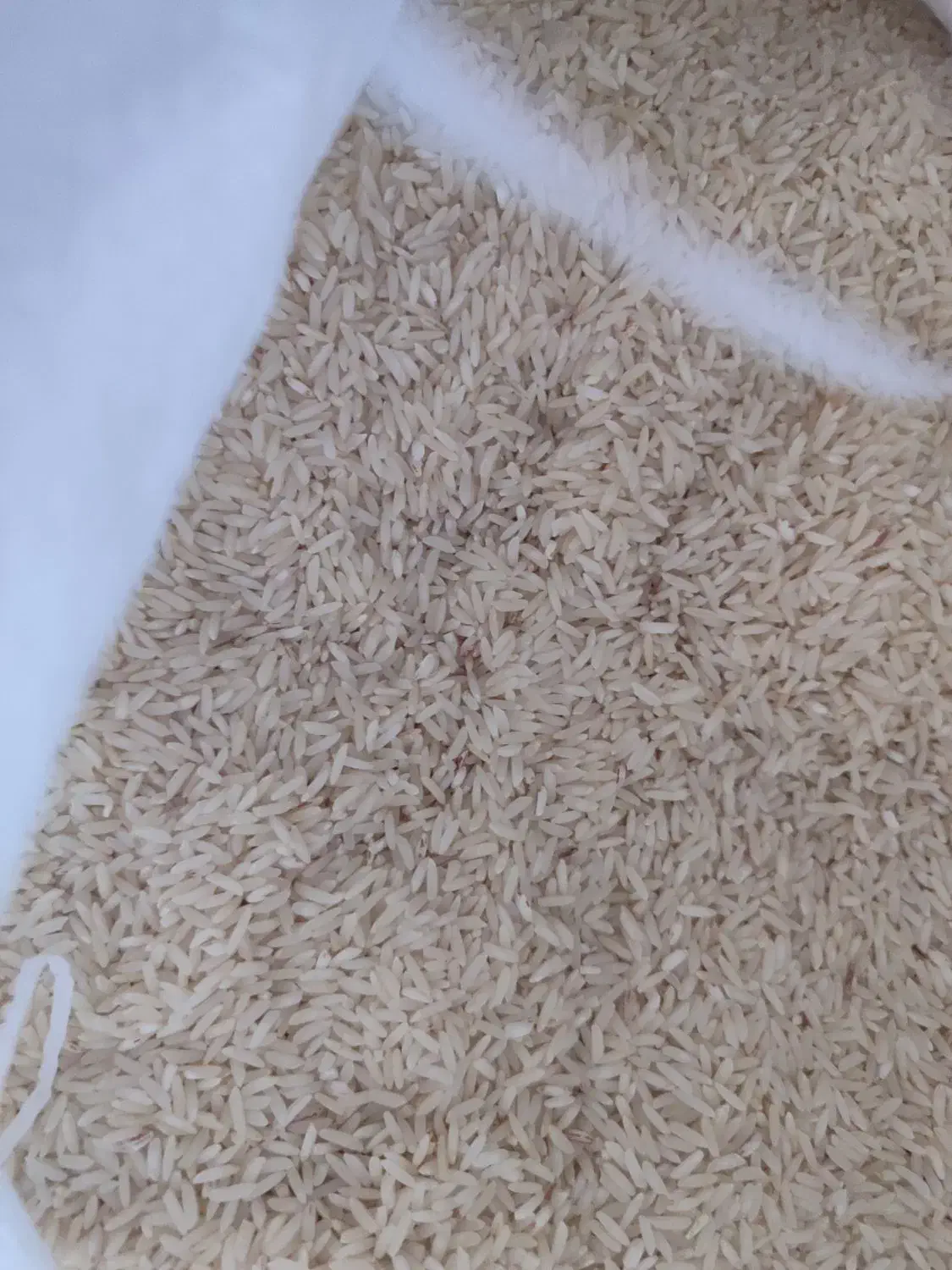 برنج طارم|خوردنی و آشامیدنی|گمیشان, |دیوار