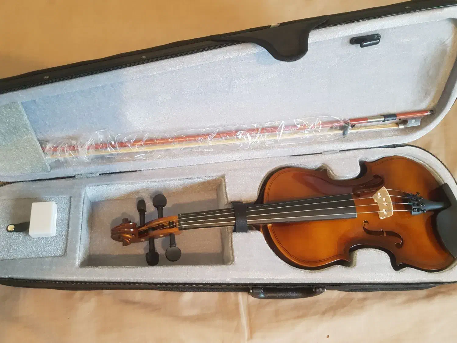 ویولن|ویولن|گرگان, |دیوار