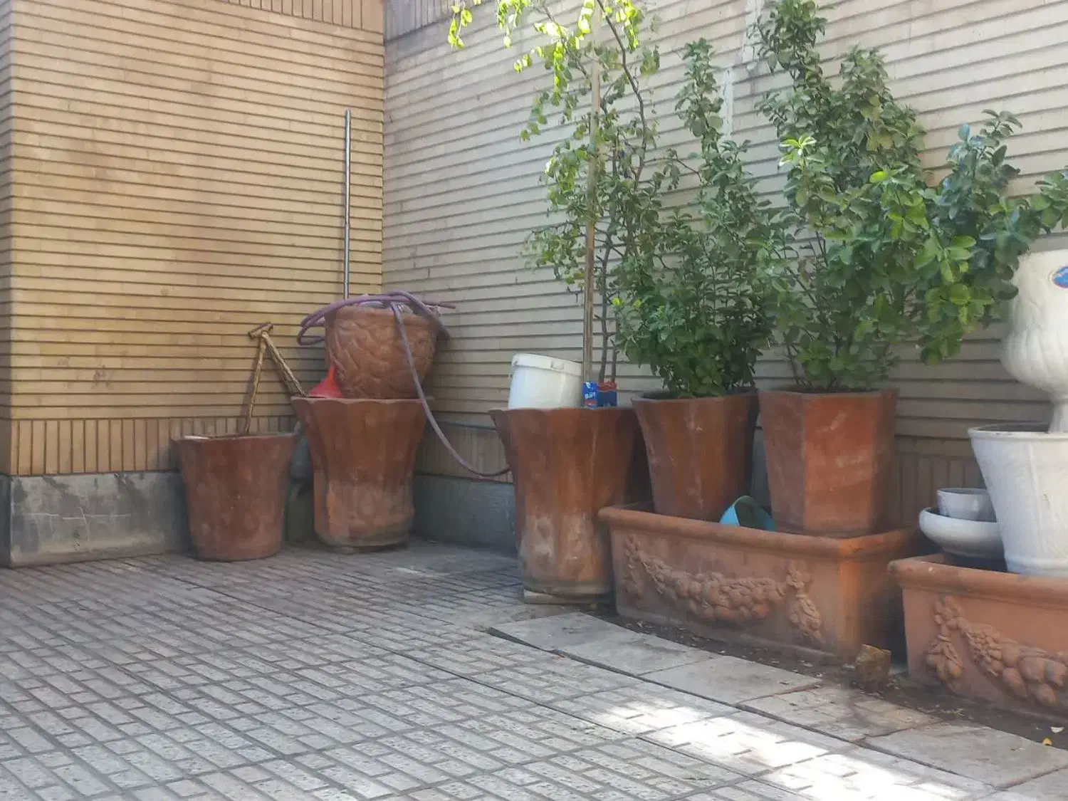 فروش 15 عدد گلدان سفالی بزرگ وسالم|گل و گیاه طبیعی|لنجان, |دیوار