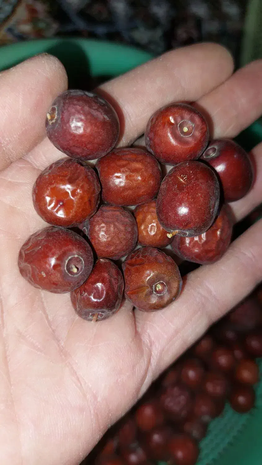 عناب|خوردنی و آشامیدنی|بیرجند, |دیوار