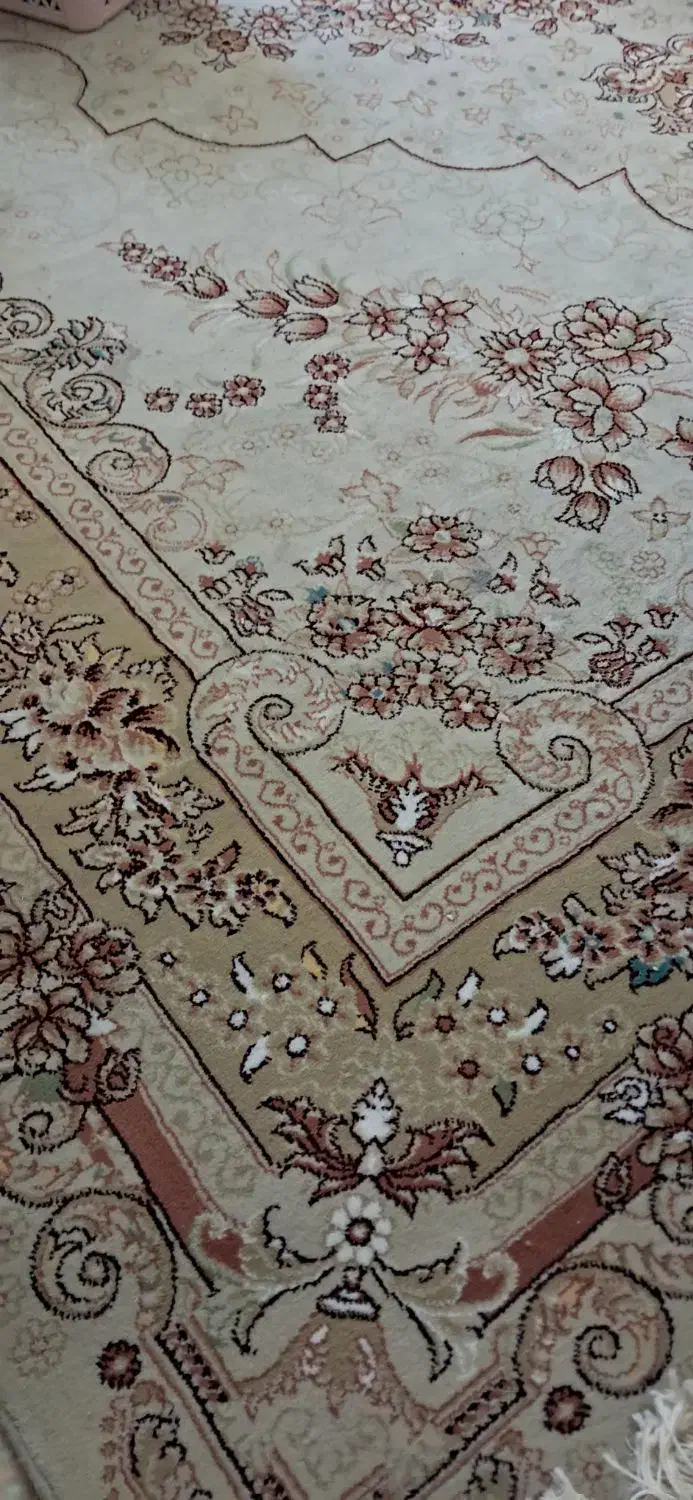 قالی ۱۲متری|فرش|مشهد, امام رضا (ع)|دیوار