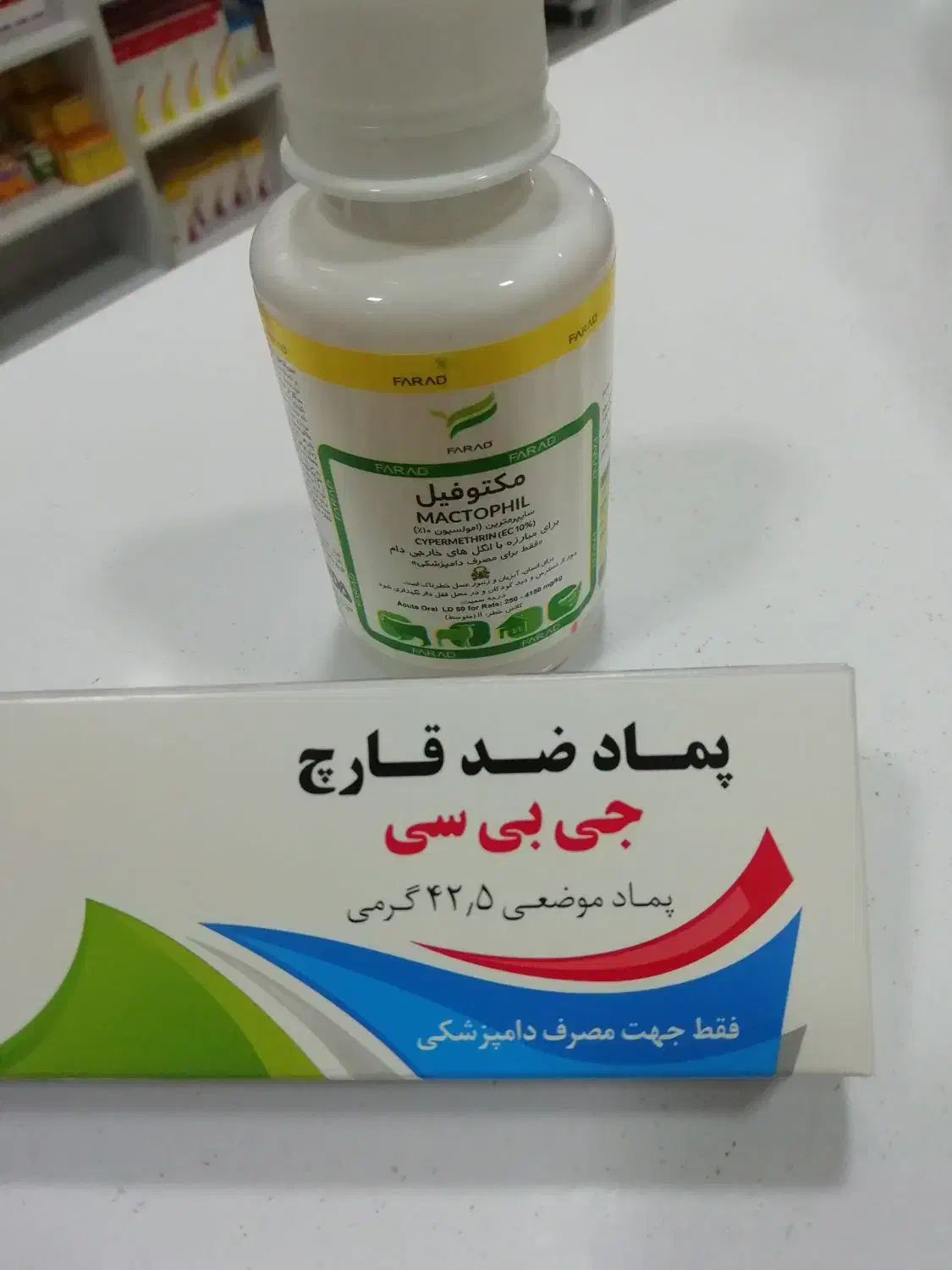 جرمن بلک ماده|سگ|شیراز, وحدت|دیوار