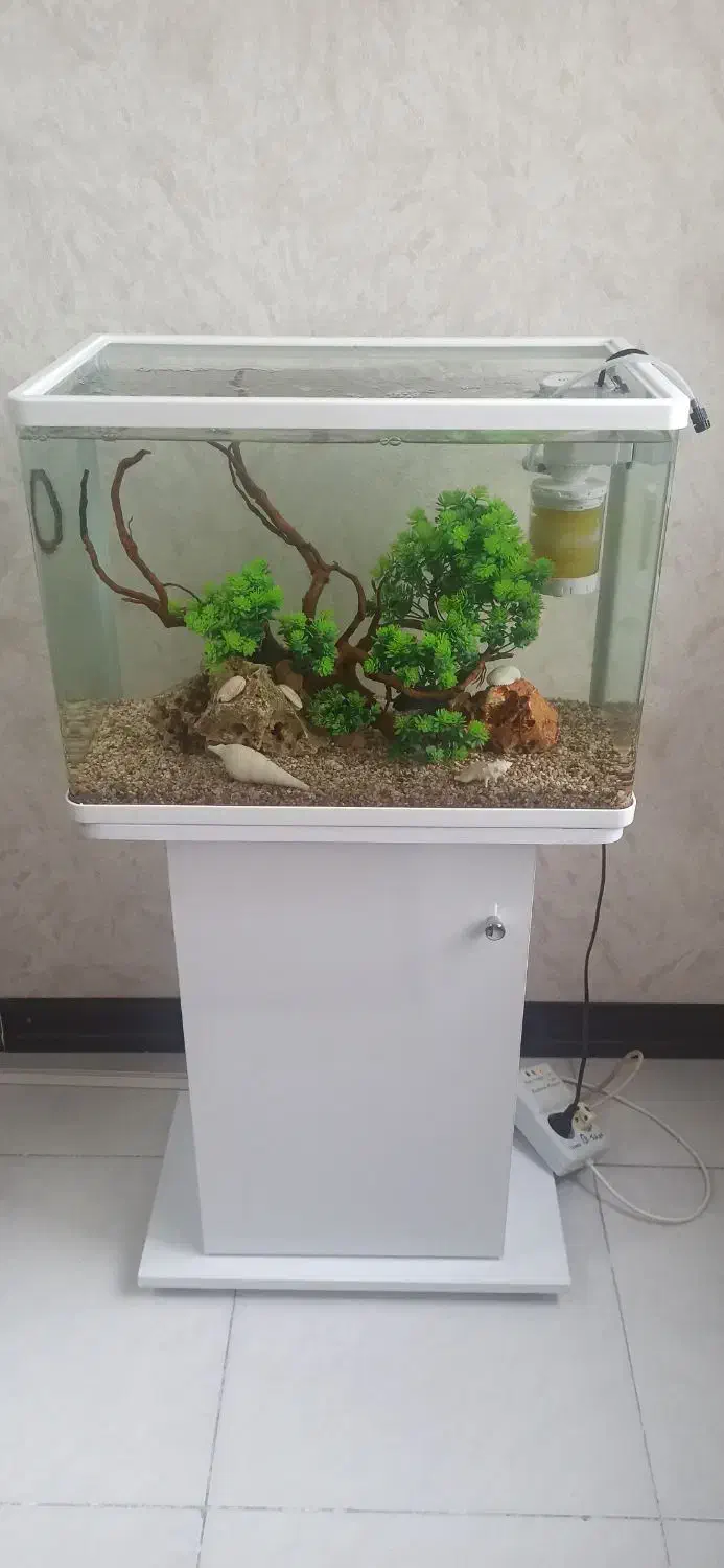 آکواریوم شیشه خم|ماهی|کرج, کلاک پایین|دیوار