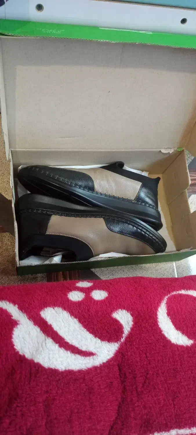 کفش زنانه اصلا استفاده نشده نونو|کیف، کفش، کمربند|اهر, |دیوار