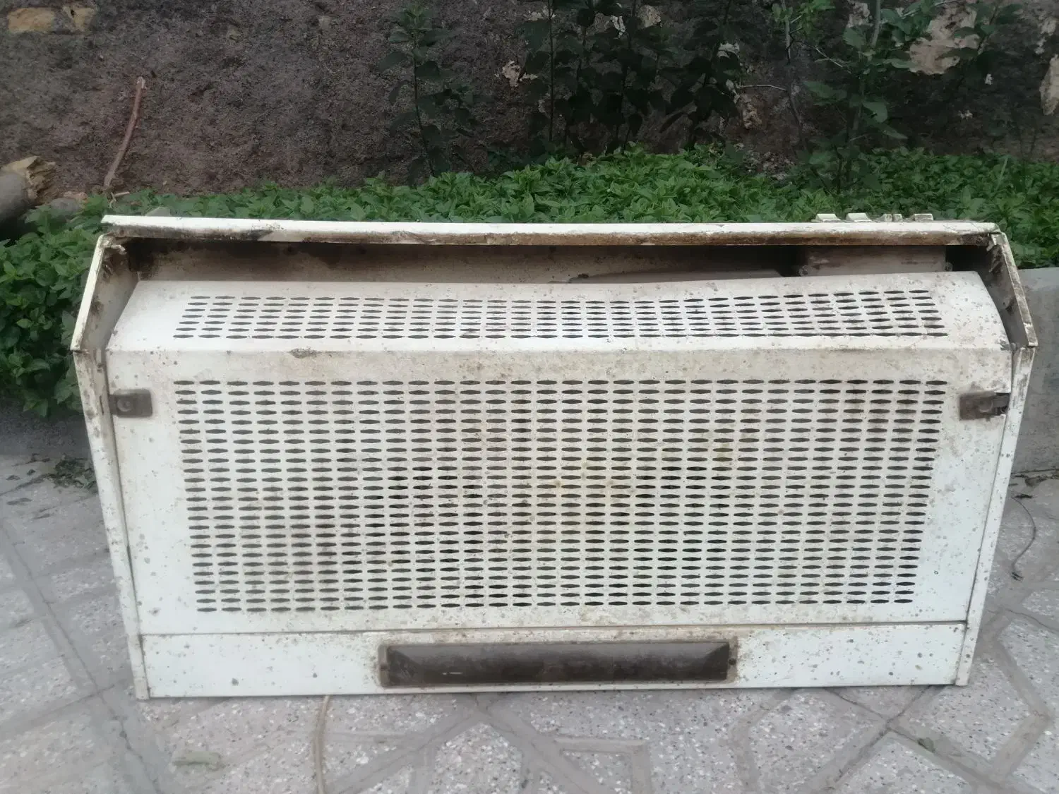 هود|هود|تربت جام, جامی|دیوار