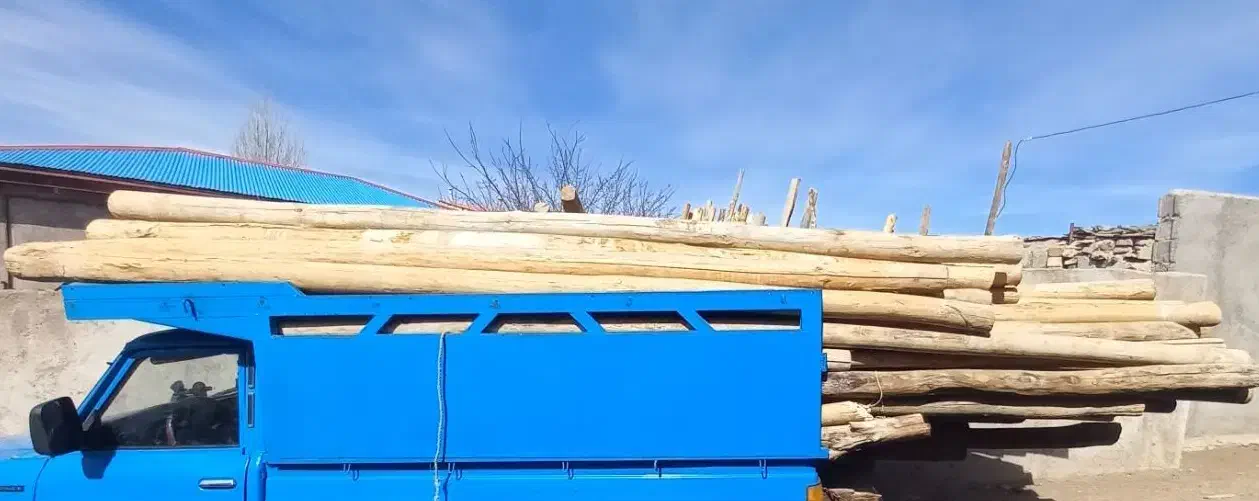 فروش چوب سقفی هاچا، نال، تیر، تخت|خدمات باغبانی و درختکاری|اردبیل, |دیوار