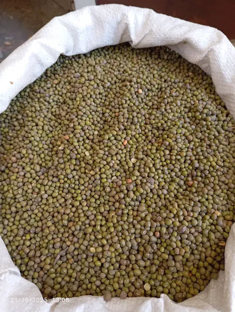 فروش برنج وخورده برنج|خوردنی و آشامیدنی|جهرم, |دیوار