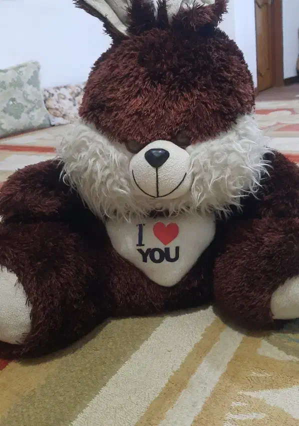 عروسک|اسباب‌بازی بچه|بهبهان, |دیوار