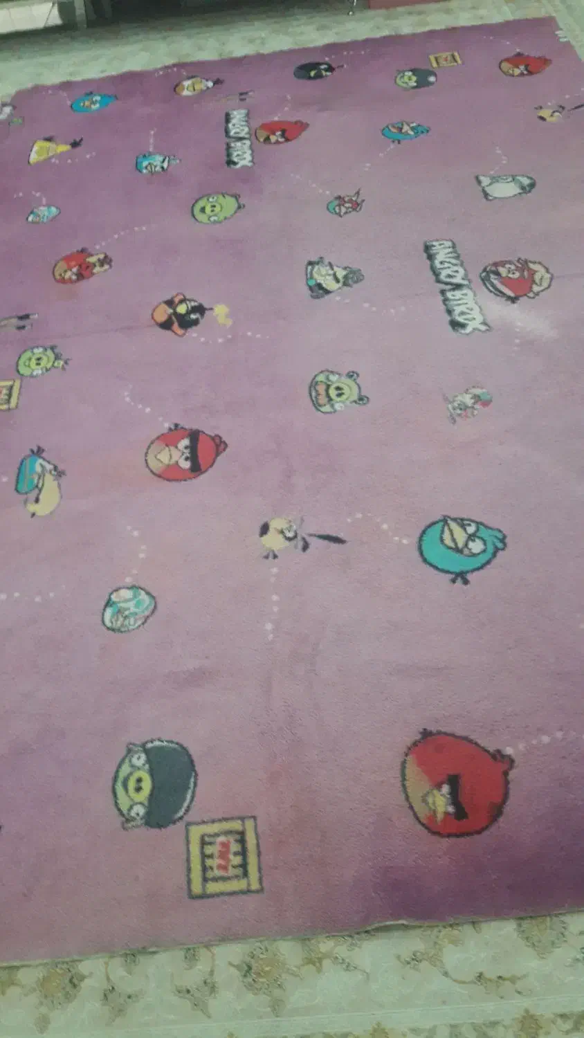 موکت پالاز|موکت|اهواز, کوی مهدیس|دیوار