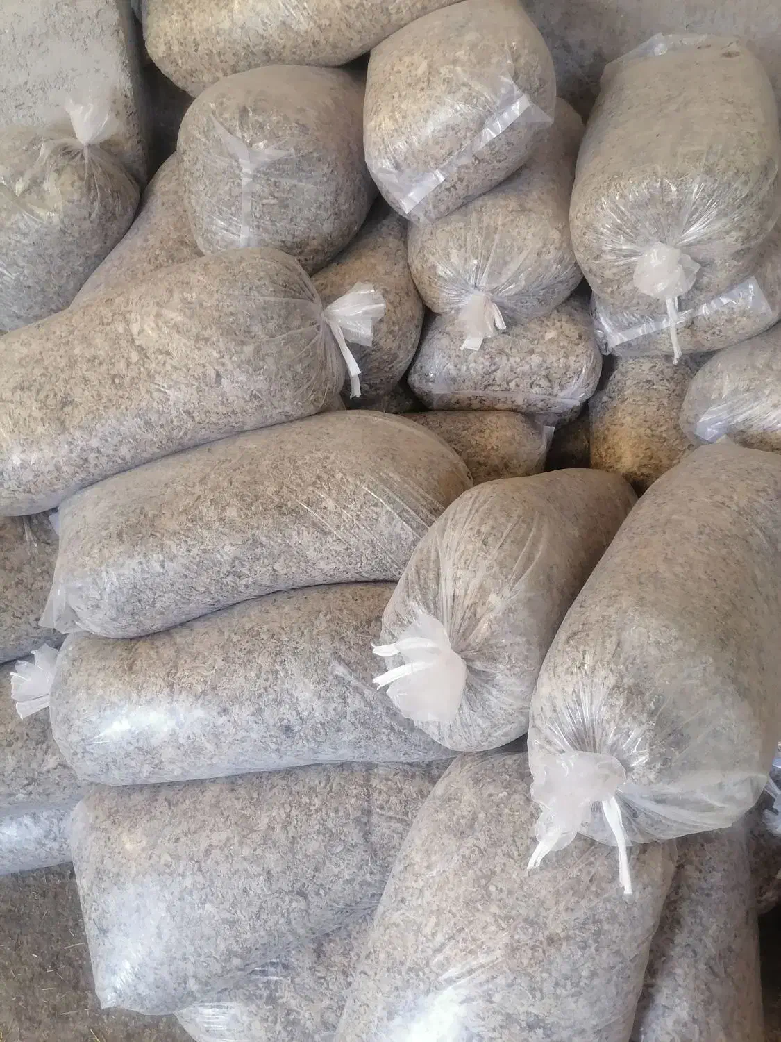 تفاله چغندر|حیوانات مزرعه|راهگان, |دیوار