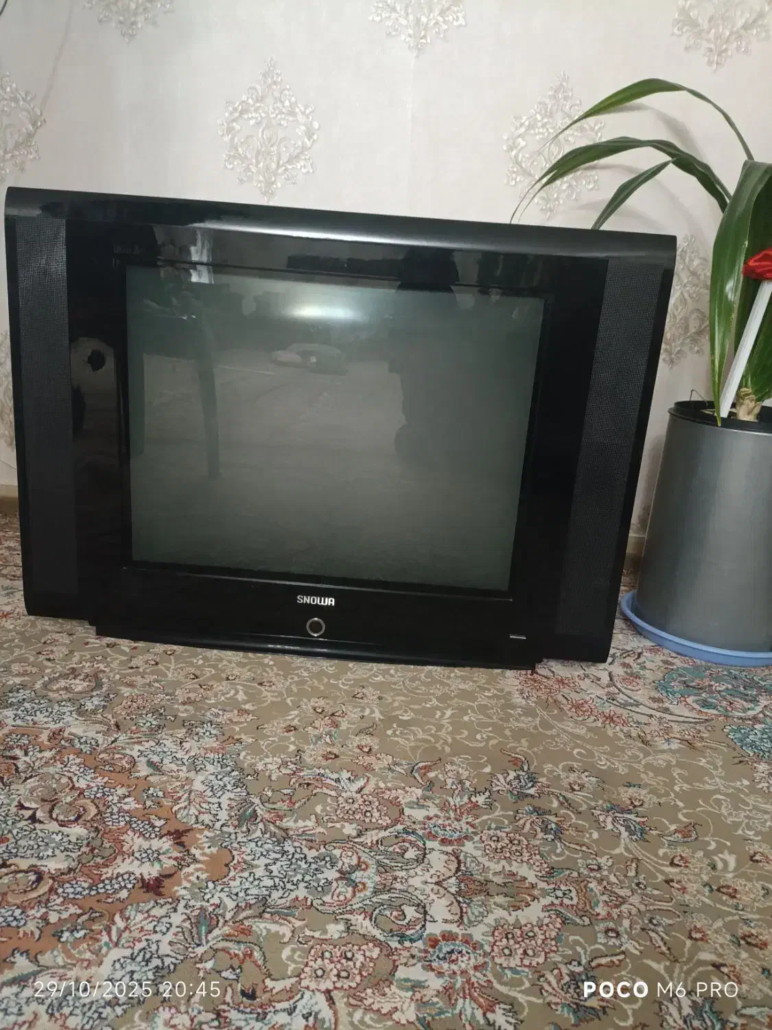 تلوزیون اسنوا ۲۹اینچ|تلویزیون و پروژکتور|سهند, |دیوار
