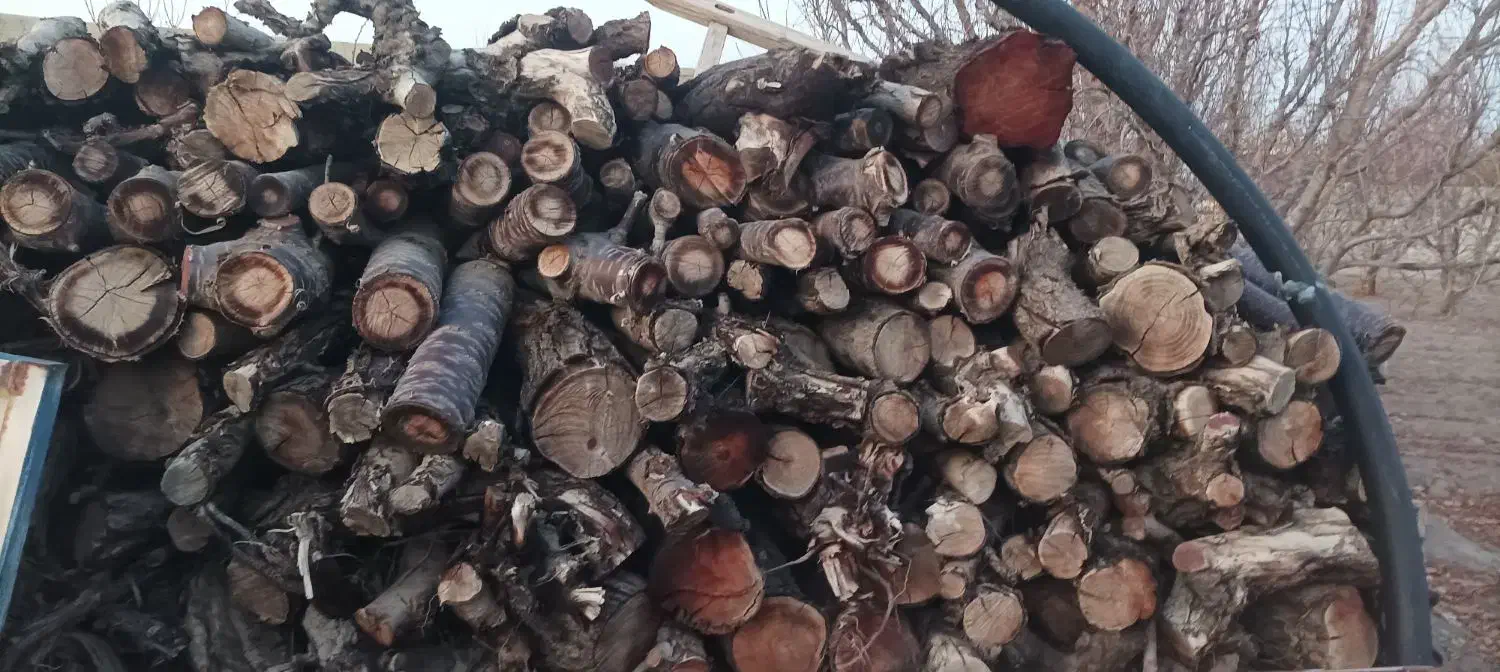 هیزم خشک ، چوب خشک شومینه و بخاری هیزمی|خدمات باغبانی و درختکاری|ارومیه, |دیوار