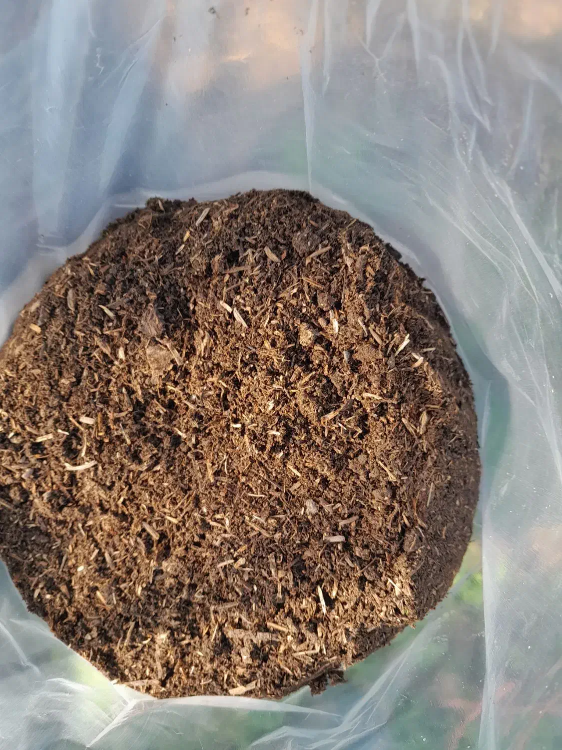 خاک گلدان کمپوست|خدمات باغبانی و درختکاری|رشت, پسیخان|دیوار