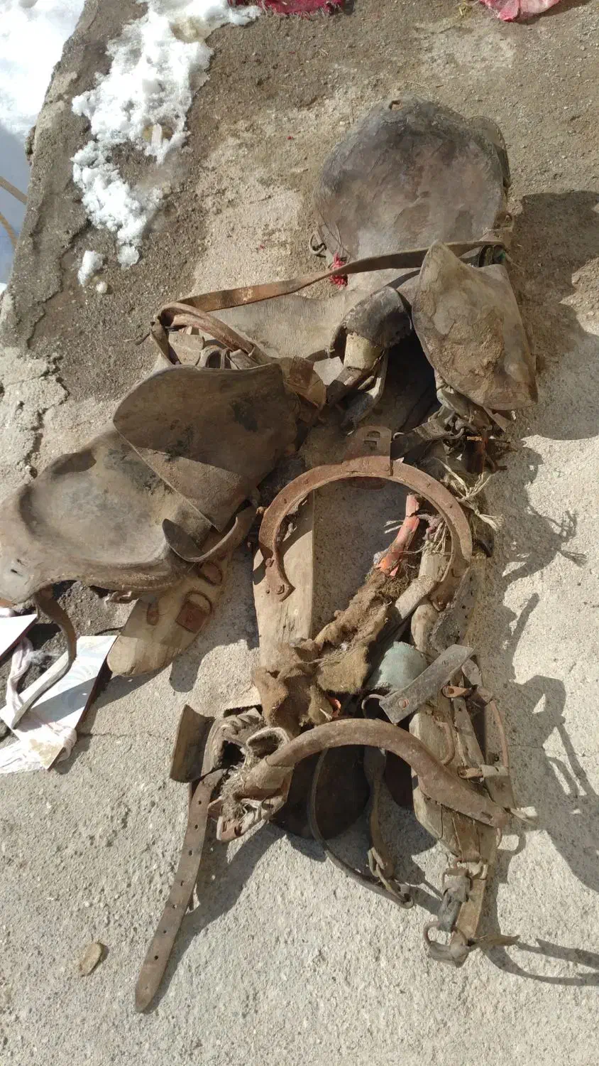 تجهیزات اسب|اسب و تجهیزات اسب‌سواری|بستان آباد, |دیوار