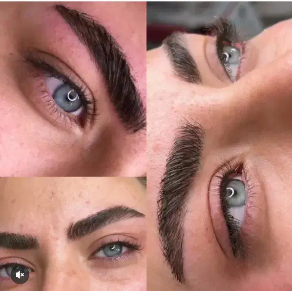 آموزش فوق تخصصی آرایش دائم بامدرک فنی حرفه ای|خدمات آموزشی|رفسنجان, |دیوار