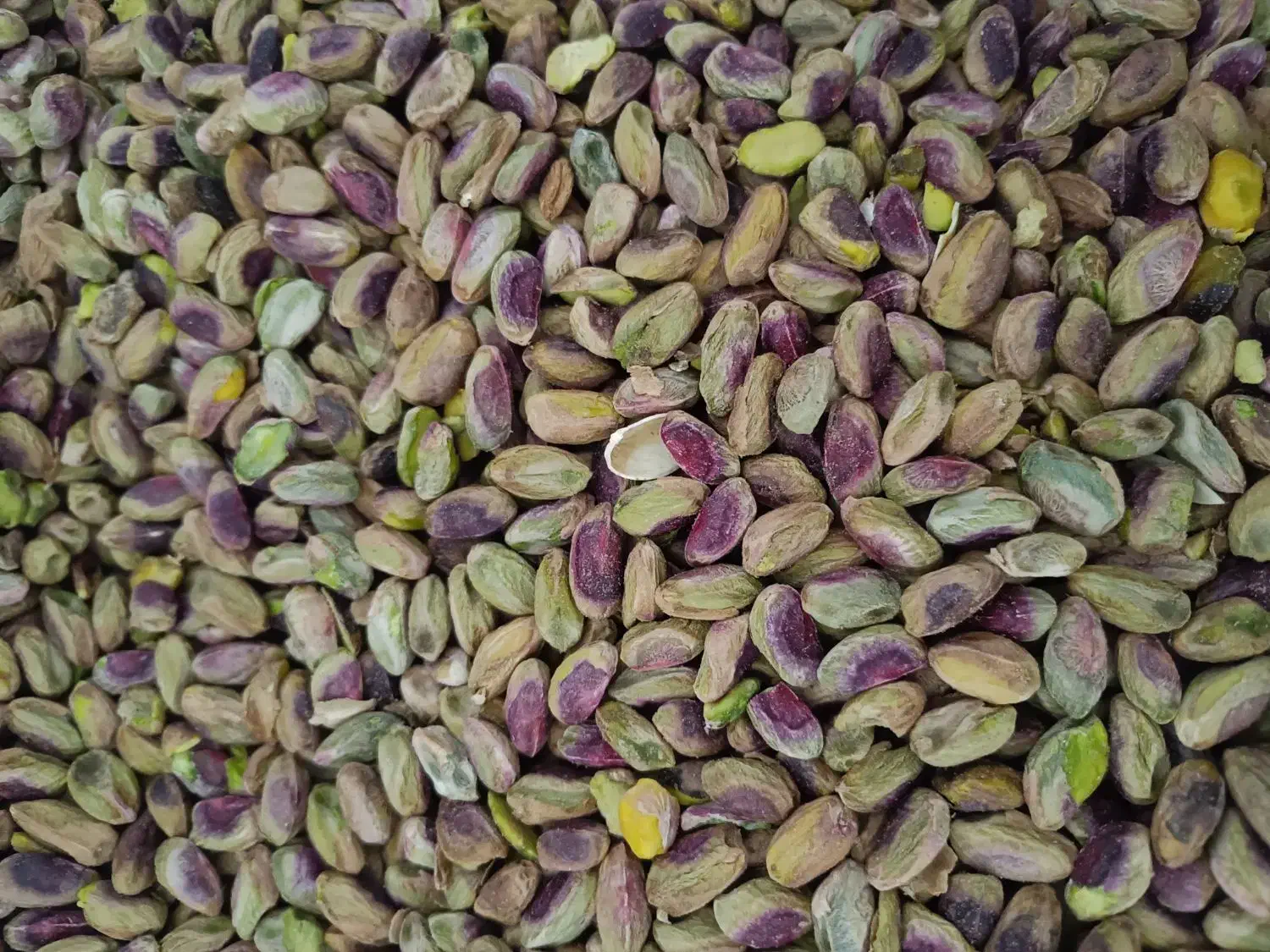 مغز پسته|خوردنی و آشامیدنی|قم, سراجه (۱۵ خرداد)|دیوار