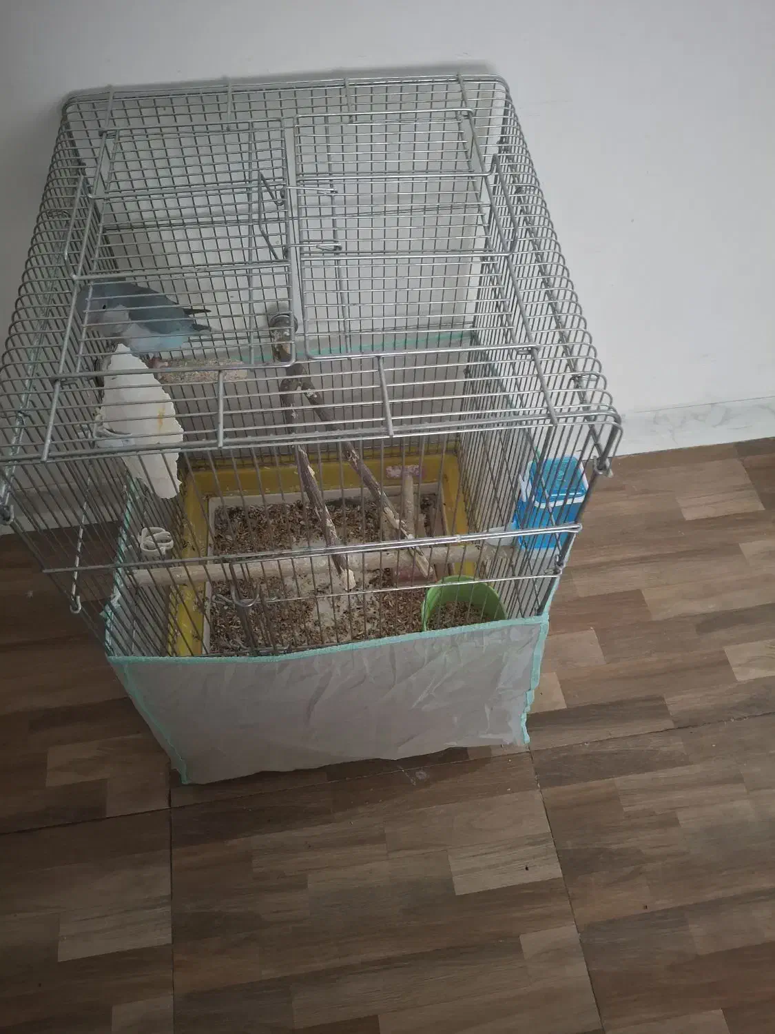 قفس طوطی بزرگ|لوازم جانبی حیوانات|شاهین‌شهر, فردوسی|دیوار