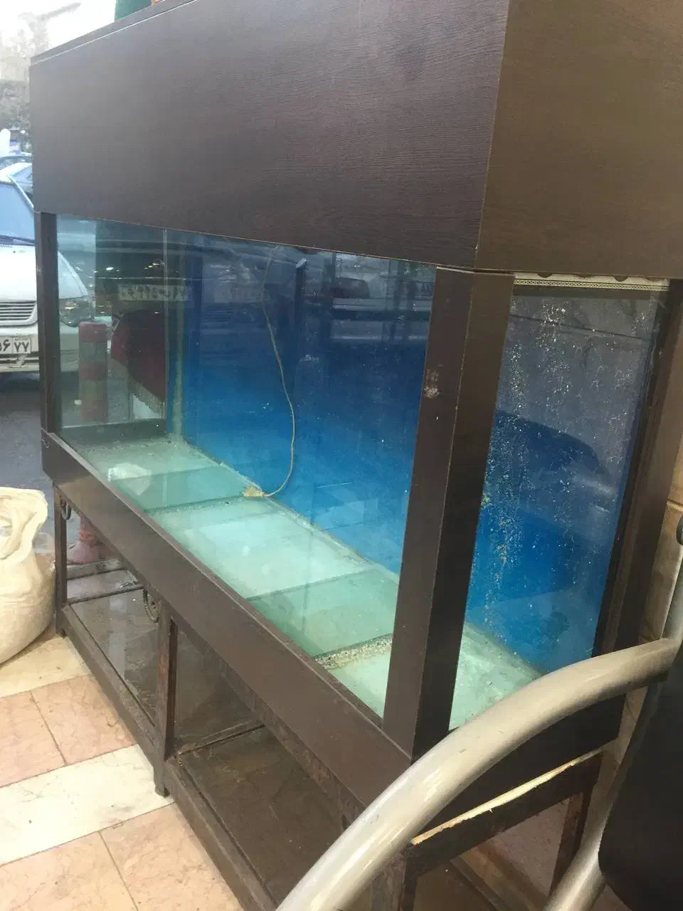 آکواریوم سالم و قیمت مناسب|ماهی|تهران, جوادیه تهرانپارس|دیوار