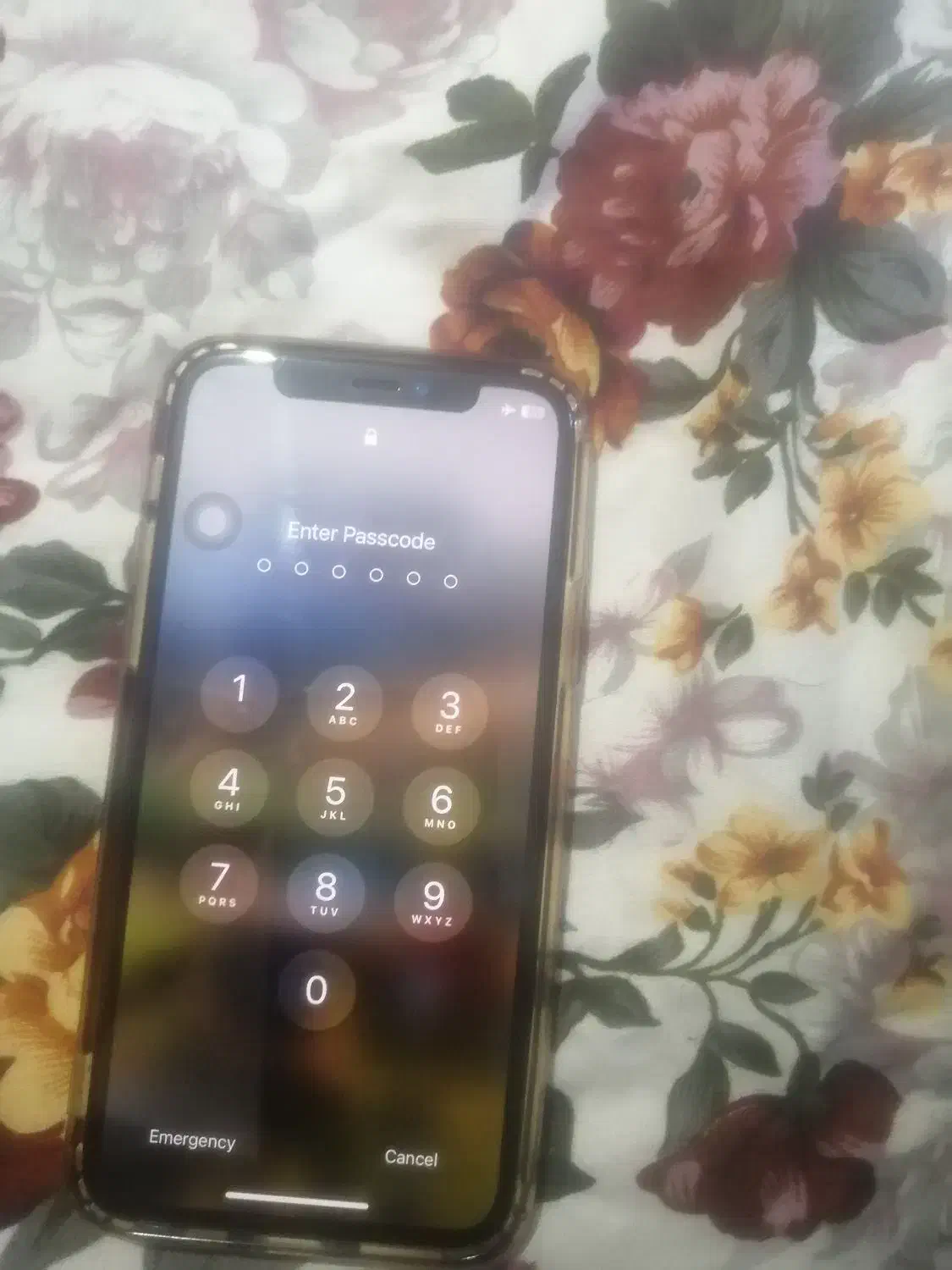 iPhone 11 Pro|موبایل|سیلوانه, |دیوار