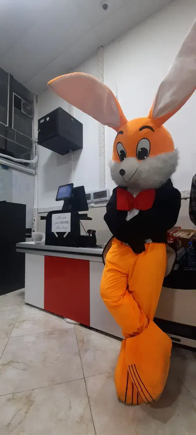 تنپوش عروسکی درحد نو|اسباببازی|هشتگرد, شهرک گلها|دیوار