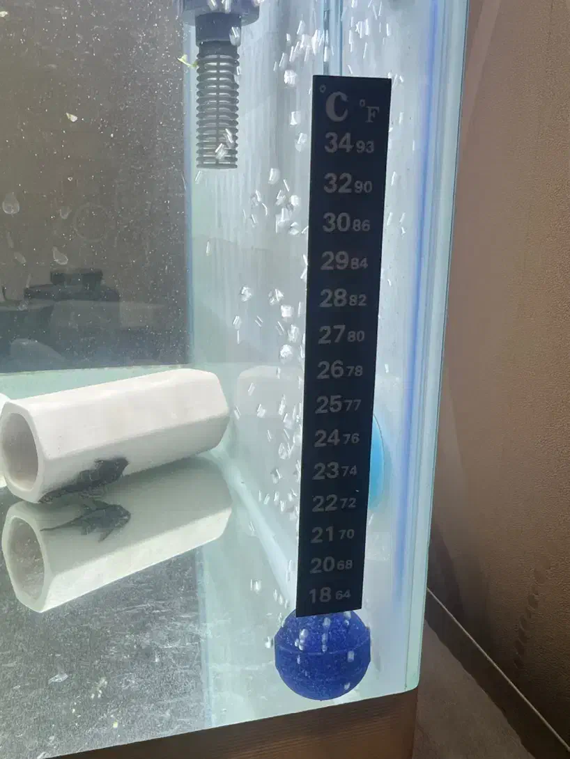 اکواریوم شیشه خم با پوستر و نوارطلایی|ماهی|تهران, تهران‌نو|دیوار