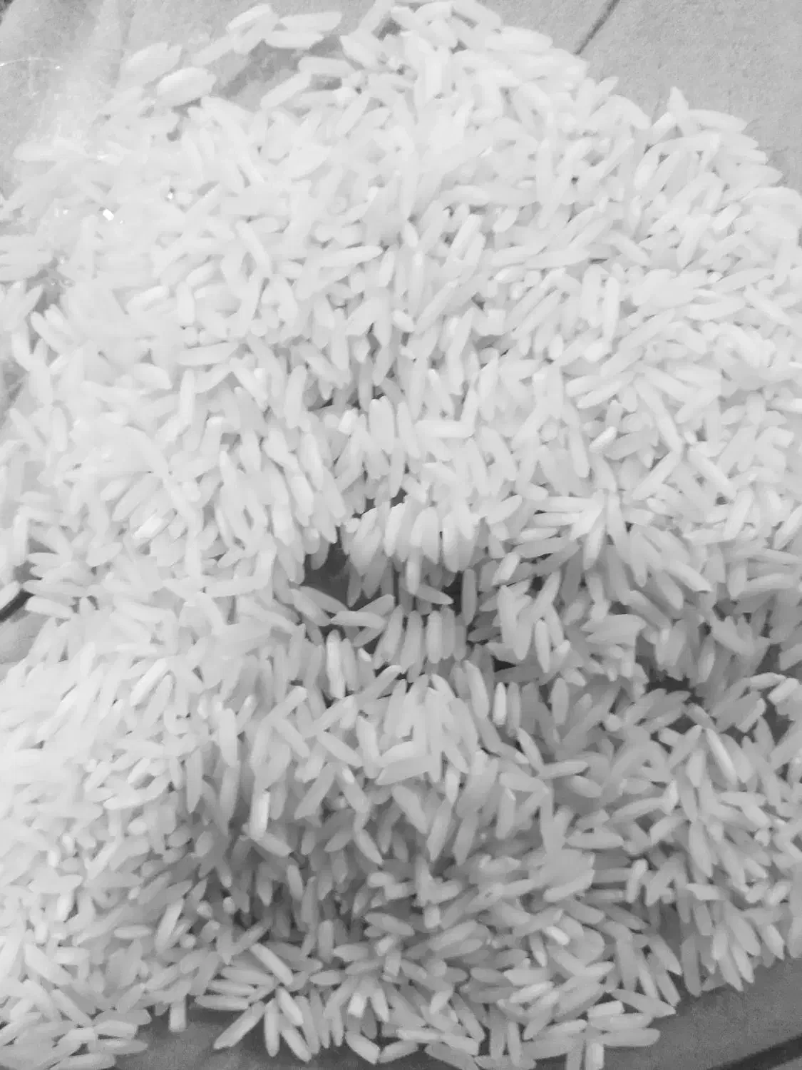 فروش برنج طارم هاشمی معاوضه با پژونزدیک دوتن دارم|عمدهفروشی|سیروان, |دیوار