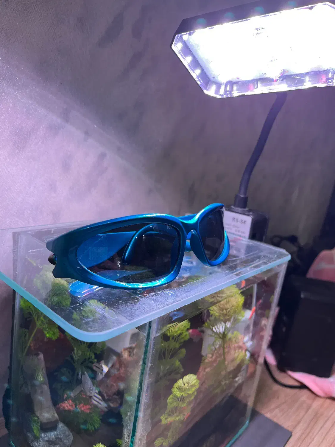 عینک اسپورت|زیورآلات و اکسسوری|زابل, |دیوار