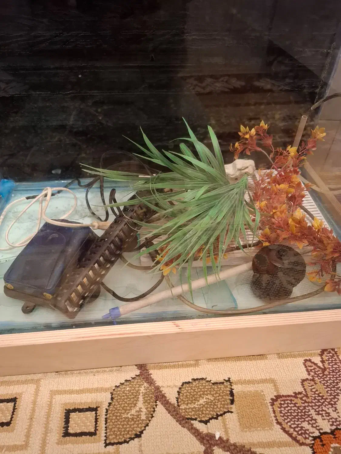 آکواریوم شیشه خم سالم|ماهی|فردیس, فردیس|دیوار