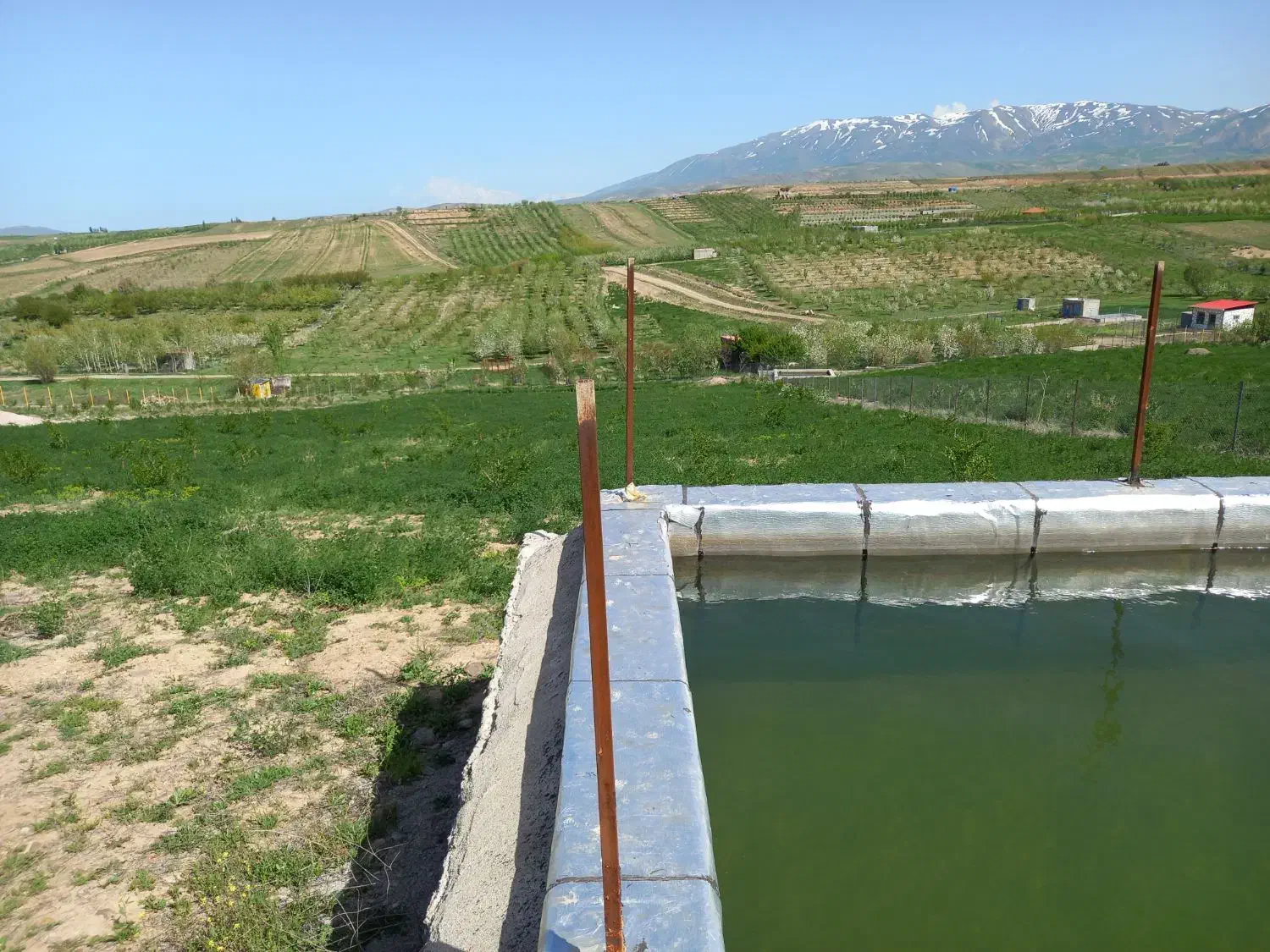 فروشی|فروش دفتر صنعتی، کشاورزی، تجاری|اهر, |دیوار